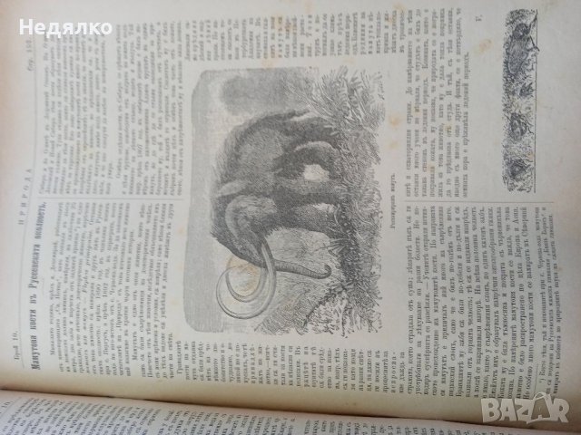 Списание Природа,1896г,печати, снимка 10 - Антикварни и старинни предмети - 37780277