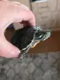 Водни костенурки, снимка 5