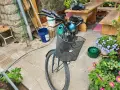 Бензинов велосипед Sachs, снимка 6