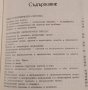 Теория на литературата. Том 2 Пантелей Зарев, 1981г., снимка 2