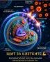 ANTIOX Мощен Антиоксидант от NATUIR, снимка 4