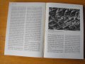 Painting and Sculpture in Europe 1880-1940 /на англ. език/., снимка 3