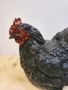 Декоративна черна кокошка от полирезин, снимка 4