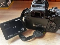 Nikon COOLPIX P1100, снимка 3