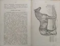 Коневъдство Павелъ Кулешовъ /1892/, снимка 8