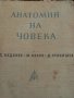 Анатомия на  човека , снимка 1 - Учебници, учебни тетрадки - 37541592