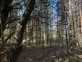 Земеделска земя , снимка 5