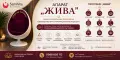Терапия „Самхита“ – възстановяване и подмладяване на клетъчно ниво , снимка 5