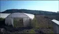 Земеделско и животновъдно стопанство , снимка 2