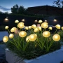 Соларни градински декорации „Медузи и Гъбки“ – Водоустойчиви, с мека жълта светлина 4984, снимка 1
