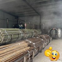 100 Семена от бамбук Moso-Bamboo красиво растение за декорация на вашата градина бамбук мосо бамбо б, снимка 14 - Сортови семена и луковици - 37774709