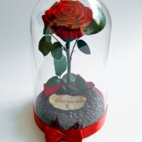 Подарък за Годишнина от Сватба / Естествена Вечна Роза в ГОЛЯМА Стъкленица/ Подарък за Любимата Жена, снимка 2 - Други - 34470517