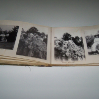 Луксозен семеен албум с 43 фотографии от 1907г.- 1910г., снимка 12 - Други ценни предмети - 36552220