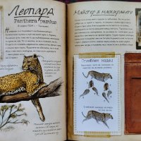 Записки на изследователя: Сафари животни, снимка 3 - Детски книжки - 42181584