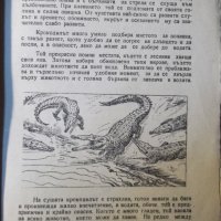 Книга "В царството на животните.Крокодил-9-Г.Дражев"-176стр., снимка 4 - Художествена литература - 35572653