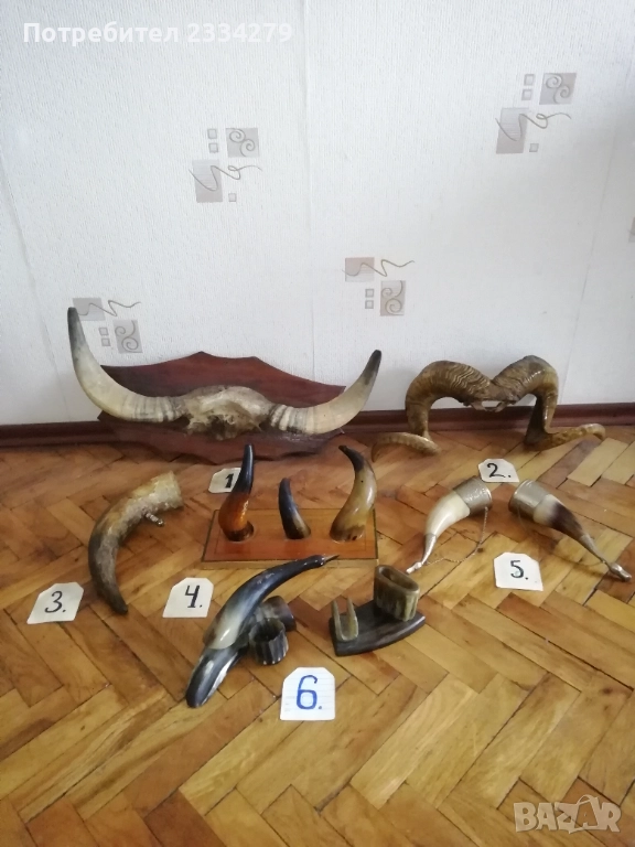 Стари трофейни рога и сувенири изработени от рога, снимка 1