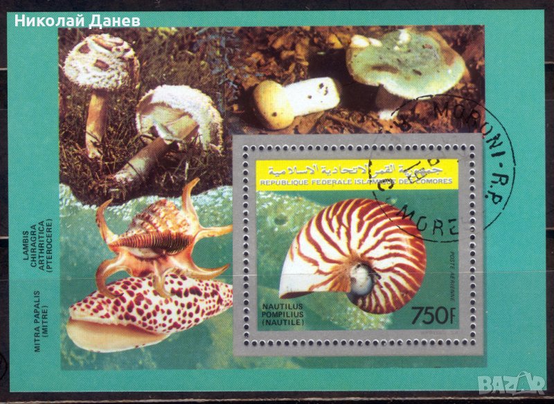 Коморски острови 1992 г Блок "NAUTILUS" Мих. 361А клеймо-СТО, снимка 1