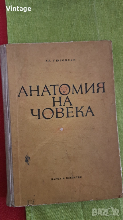 Анатомия на човека - Александър Гюровски 1965г., снимка 1