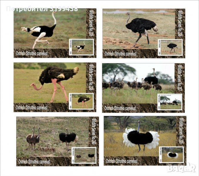 Чисти блокове Фауна Птици Щрауси 2020 от Тонго, снимка 1