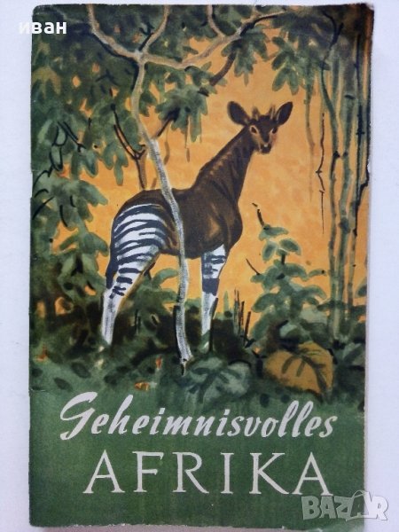 Тайнственная Африка - Г.Фрейберг - 1962г., снимка 1