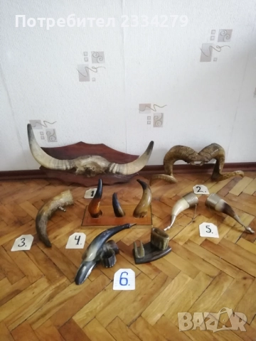 Стари трофейни рога и сувенири изработени от рога