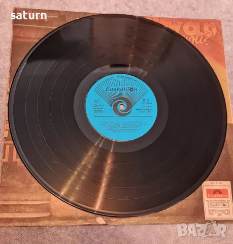 грамофонна плоча Robin Gibb , снимка 2 - Грамофонни плочи - 49880226