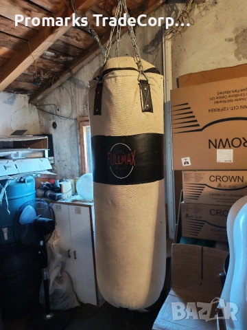 Боксова круша, снимка 2 - Бокс - 54158768