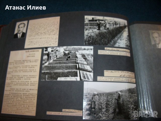 Уникален соц фотоалбум на бългаски специалисти в Афганистан 1963г., снимка 10 - Други ценни предмети - 29324863