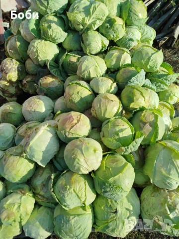 Зеле Балкан, снимка 2 - Други - 52494828