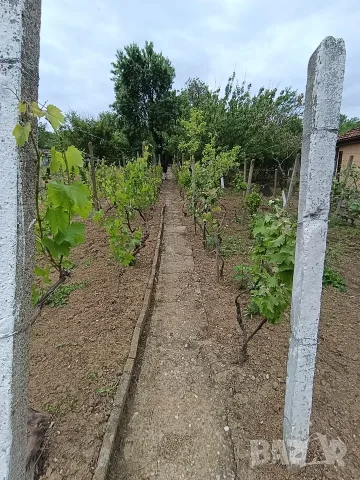 Продавам  вила., снимка 3 - Вили - 56246153