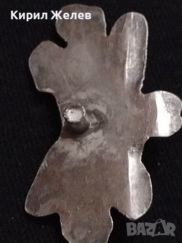 Метална брошка Грозд върху листо пластика много красив дизайн 26236, снимка 3 - Други - 40426226