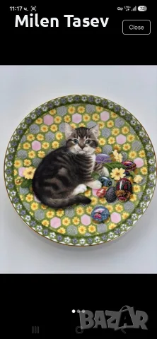 🐱💕 Четири прекрасни чинийки с котенца 💕🐱  , снимка 6 - Чинии - 56153693