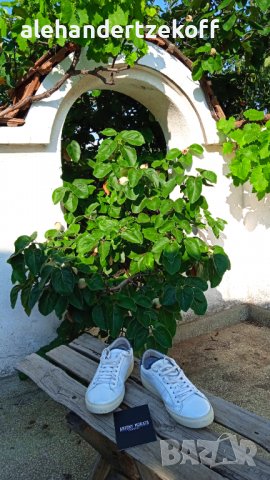 Спортни кожени обувки кецове Antony Morato