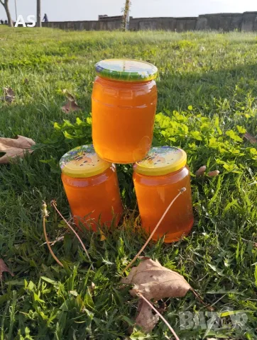 Билков пчелен мед 🍯, снимка 3 - За пчели - 55565724