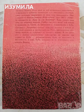 Погребани статуи - Антонио Бенитас Рохо, снимка 3 - Художествена литература - 49872196