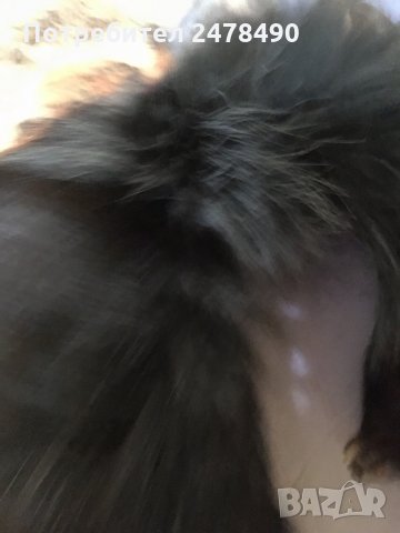 Кожена яка, снимка 5 - Шалове - 30277062