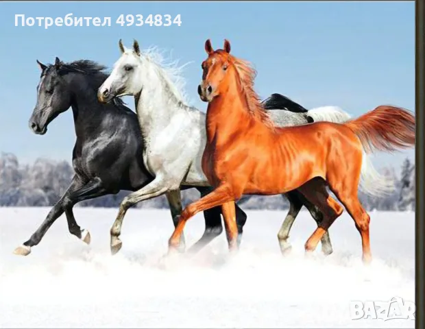 диамантени гоблени, снимка 7 - Декорация за дома - 55879893