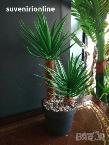 Изкуствена алое Вера в кашпа, снимка 3 - Изкуствени цветя - 38255657