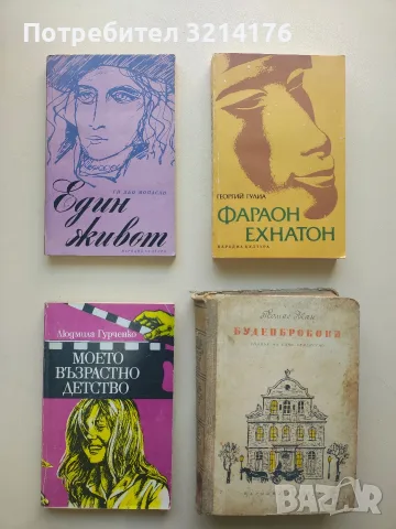 Буденброкови. Упадък на едно семейство - Томас Ман