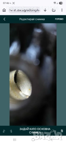 NSU мотор. педалетка .скутер.нсу, снимка 8 - Мотоциклети и мототехника - 53895591