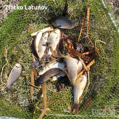 Заробители Шаран, снимка 2 - Други - 56275707