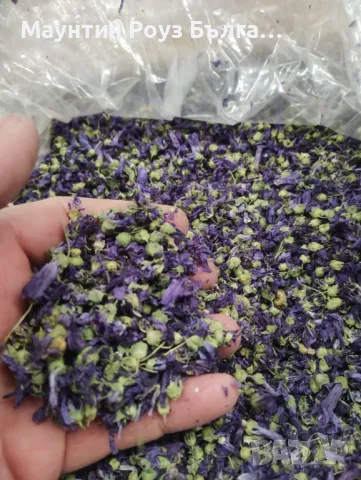 Сушен Слез Цвят  / Dried Mallow Flowers - Malva sylvestris, снимка 2 - Други услуги - 49541305