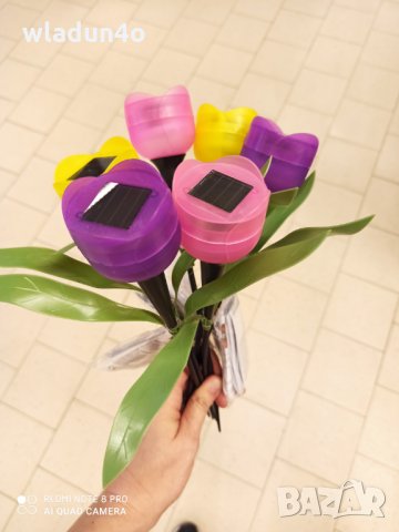 Соларни ПЕПЕРУДИ,КОЛИБРИ.Лалета-8лв/9лв/10лв, снимка 15 - Градински цветя и растения - 14365224