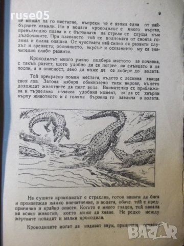Книга "В царството на животните.Крокодил-9-Г.Дражев"-176стр., снимка 4 - Художествена литература - 35572653