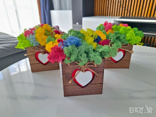 За завършване на учебната година, снимка 13 - Картини - 54212159