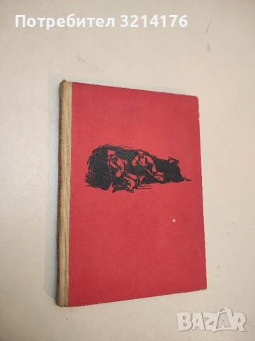 Кръстът и стрелата - Алберт Малц, снимка 2 - Художествена литература - 50985807