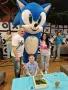 Соник гига парти аниматор, снимка 5