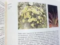 Атлас по Ботаника - Сл.Петров,Е.Паламарев - 1994г.  , снимка 5