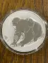 Сребро 1 oz монета Австралийска Коала - 2010, снимка 2