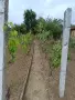 Продавам  вила., снимка 3